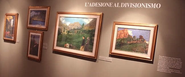Suddivisione