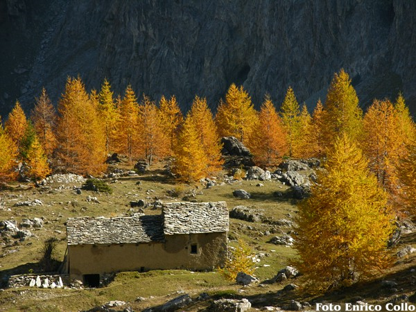 Trekking