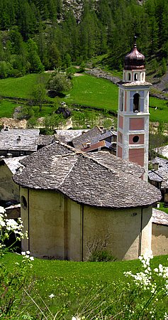 Primavera