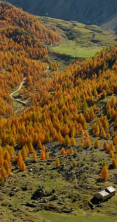 Autunno