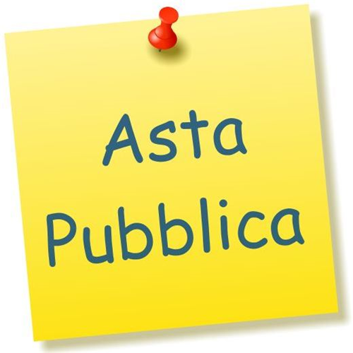 Avviso di asta pubblica per la concessione di n. 28 lotti derivanti da pascoli soggetti ad uso civico risultati in esubero - Annata agraria 2026